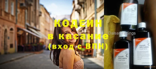 прущие крисы Абаза