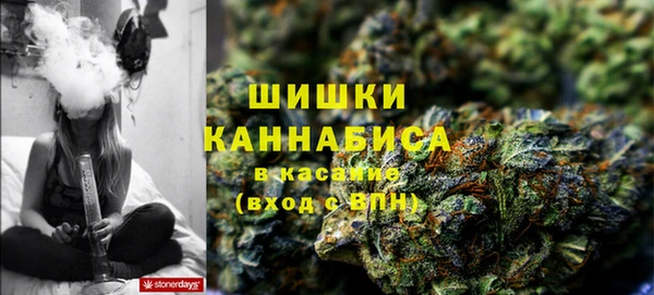 прущие крисы Абаза