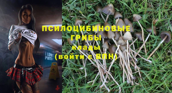 прущие крисы Абаза